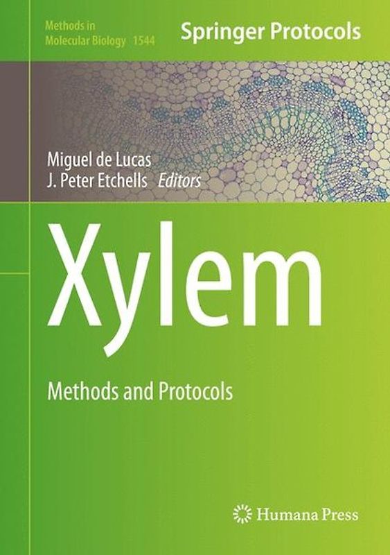 Xylem