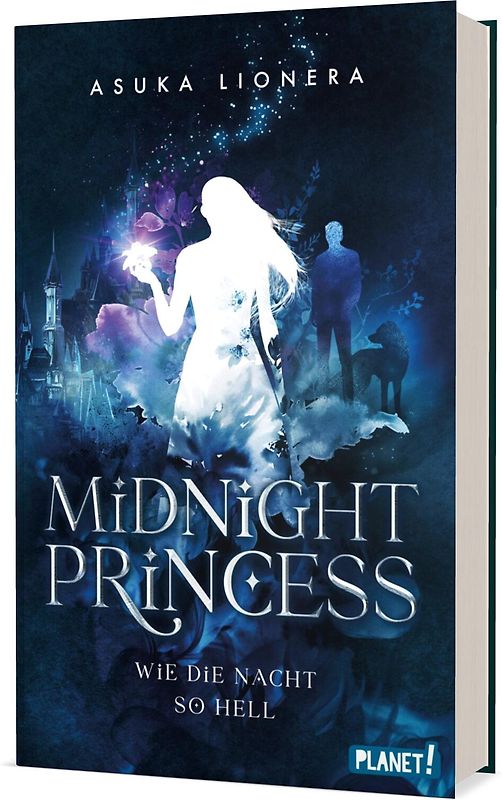 Midnight Princess 1: Wie die Nacht so hell
