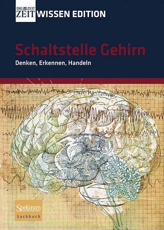 Schaltstelle Gehirn - Denken, Erkennen, Handeln