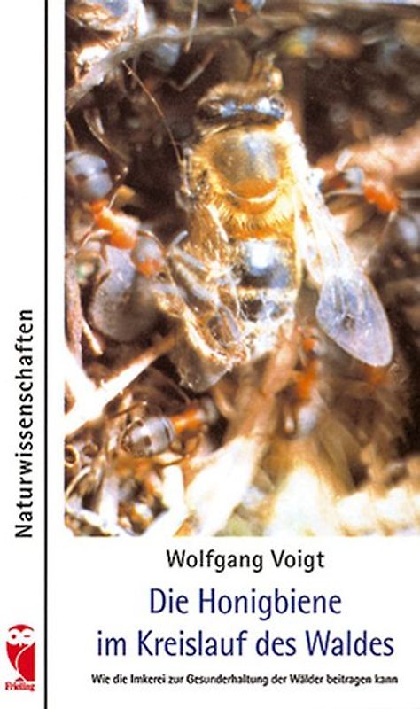 Die Honigbiene im Kreislauf des Waldes