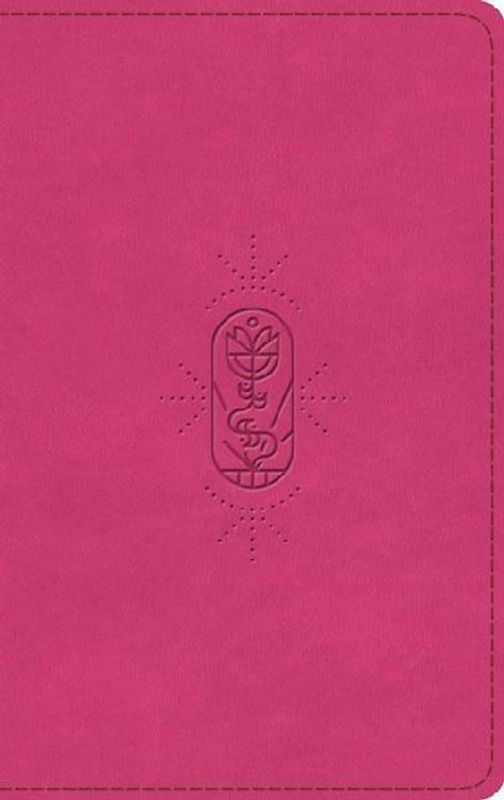 ESV Holy Bible for Kids (Trutone, Berry, the True Vine Design)