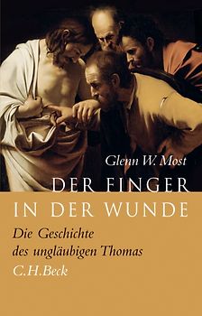 Der Finger in der Wunde