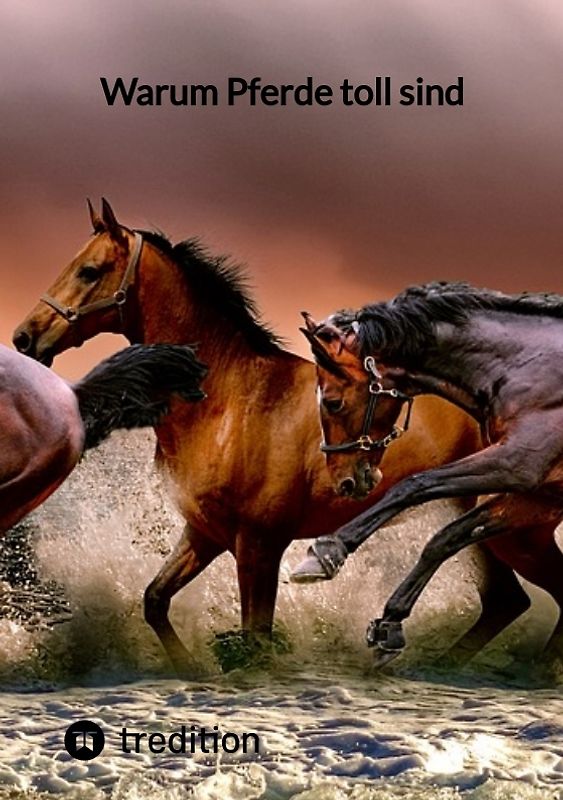 Warum Pferde toll sind