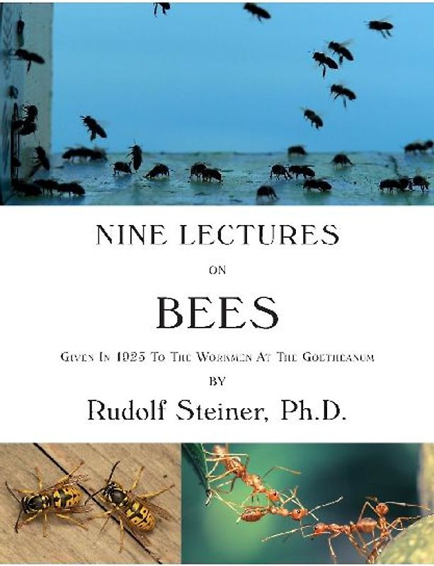 Nine Lectures on Bees