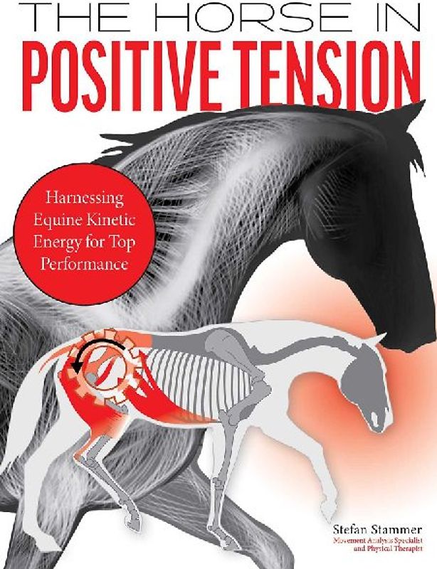 The Horse in Positive Tension