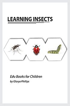 Learning Insects: Montessori real insects book for babies and toddlers, bits of intelligence for baby and toddler, children's book, learning resources. (Edu Books for Children)