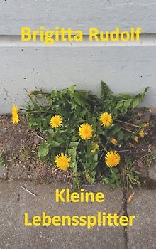 Kleine Lebenssplitter