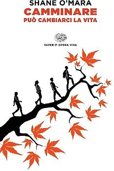 Camminare può cambiarci la vita