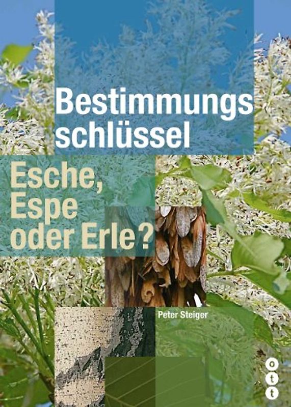 Esche, Espe oder Erle?