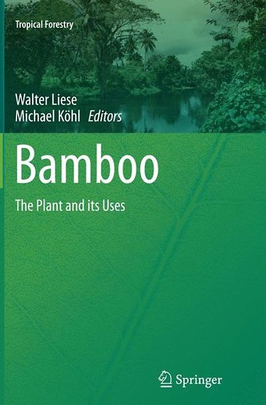 Bamboo