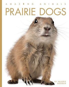 Prairie Dogs