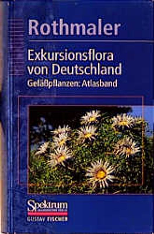 Rothmaler - Exkursionsflora von Deutschland. Bd. 3: Gefäßpflanzen: Atlasband