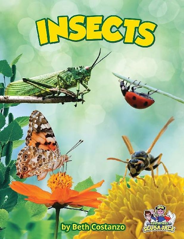 Insects
