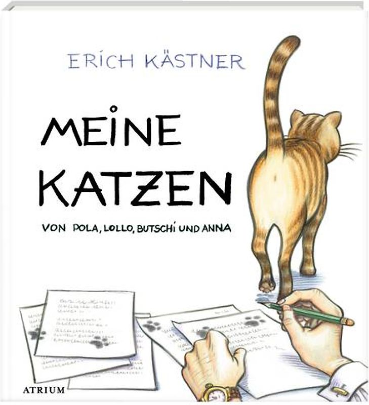 Meine Katzen