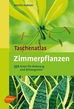 Zimmerpflanzen