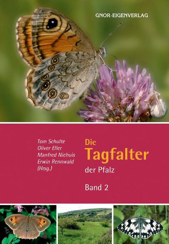 Die Tagfalter der Pfalz - Band 2