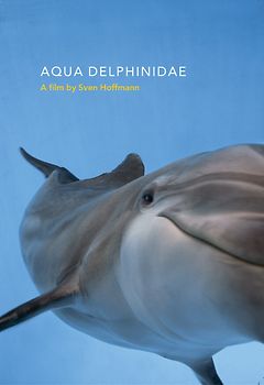 Aqua Delphinidae