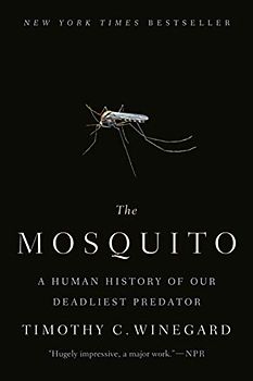 The Mosquito