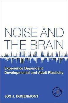 Noise and the Brain