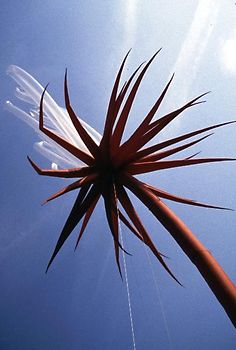 Erde-Wasser-Feuer-Luft /Earth-Water-Fire-Air