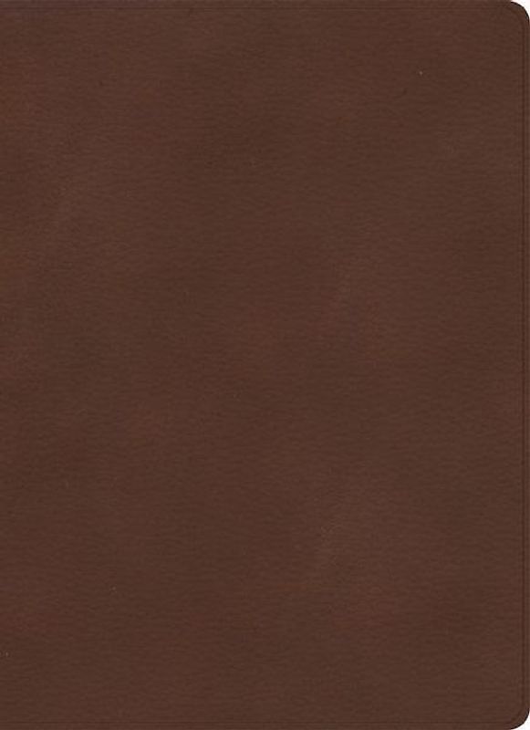 KJV Single-Column Wide-Margin Bible, Brown Leathertouch