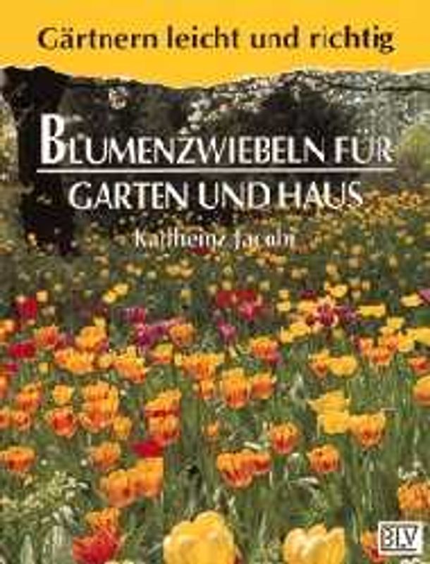 Blumenzwiebeln für Garten und Haus