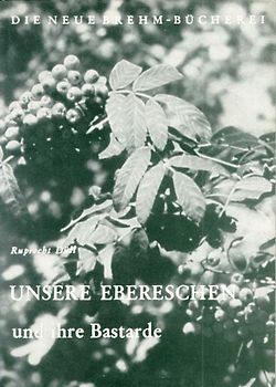 Unsere Ebereschen und ihre Bastarde