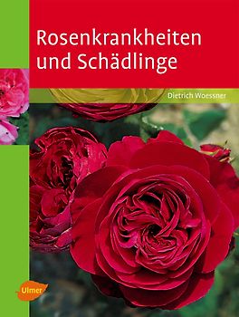 Rosenkrankheiten und Schädlinge