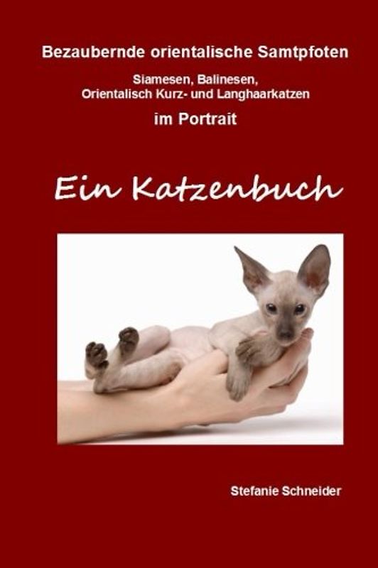 Bezaubernde orientalische Samtpfoten im Portrait - Ein Katzenbuch: Siamesen, Balinesen, Orientalisch Kurz- und Langhaarkatzen