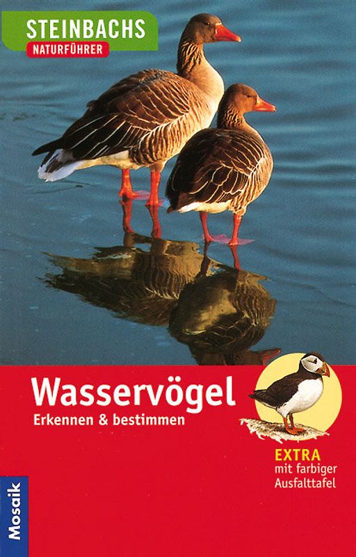 Wasservögel