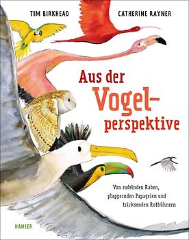 Aus der Vogelperspektive