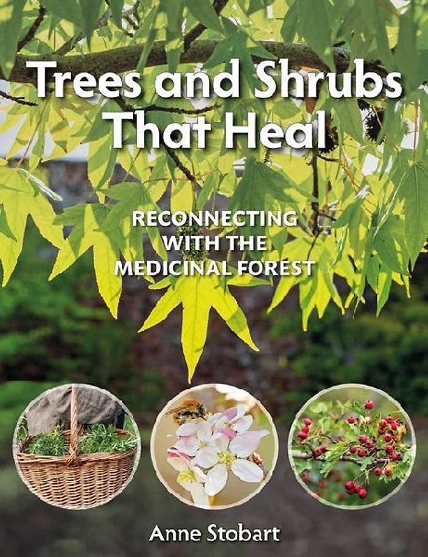 Trees and Shrubs That Heal