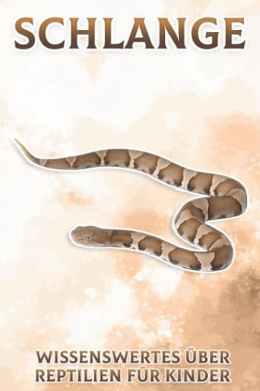 Schlange: Wissenswertes über Reptilien für Kinder #5