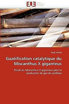 Gazéification catalytique du Miscanthus X giganteus