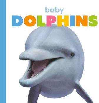 Baby Dolphins