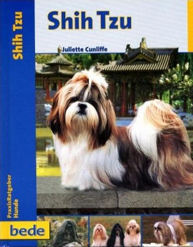 Praxisratgeber Shih Tzu