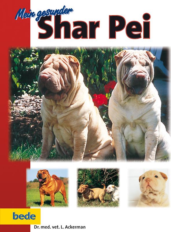 Mein gesunder Shar Pei
