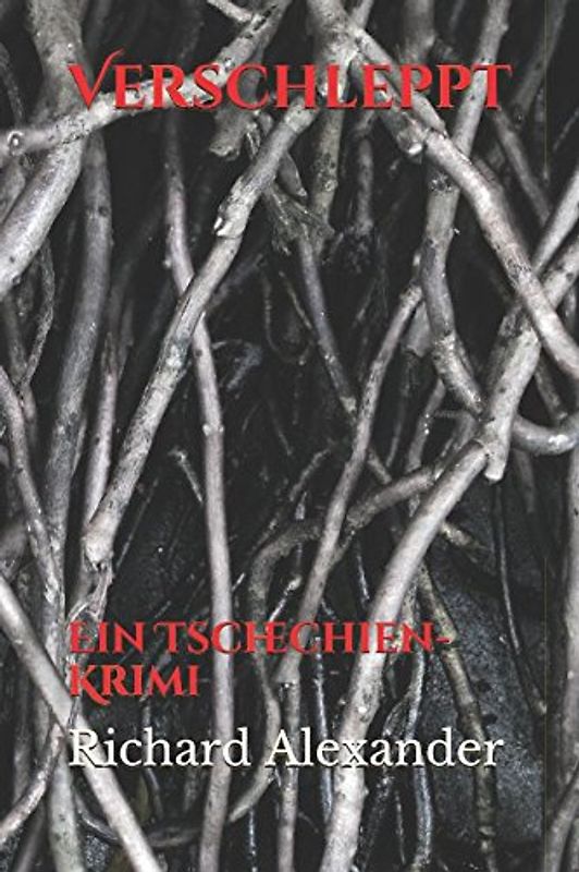 Verschleppt: Ein Tschechien-Krimi