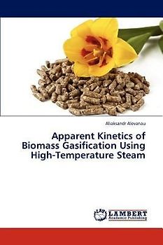 Apparent Kinetics of Biomass Gasification Using High-Temperature Steam