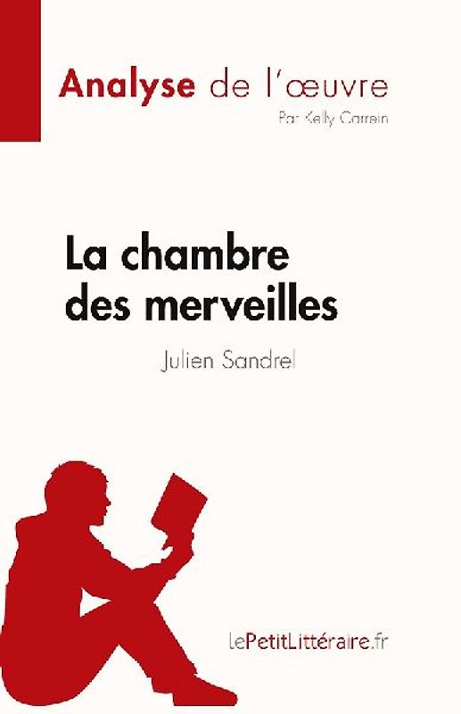 La chambre des merveilles de Julien Sandrel (Analyse de l'¿uvre)
