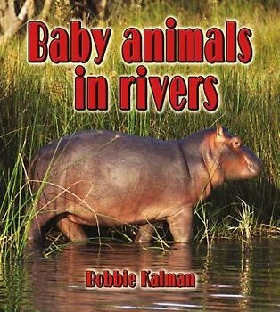 Baby Animals in Rivers