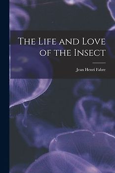 The Life and Love of the Insect