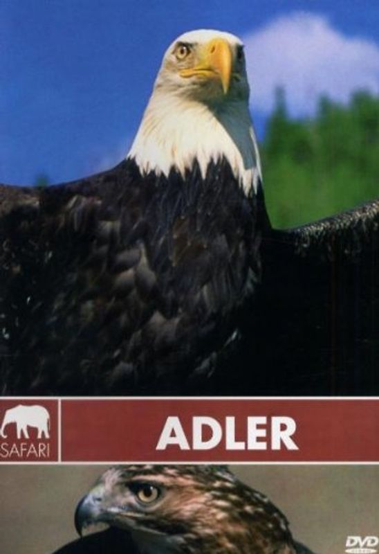 Safari: Adler DVD