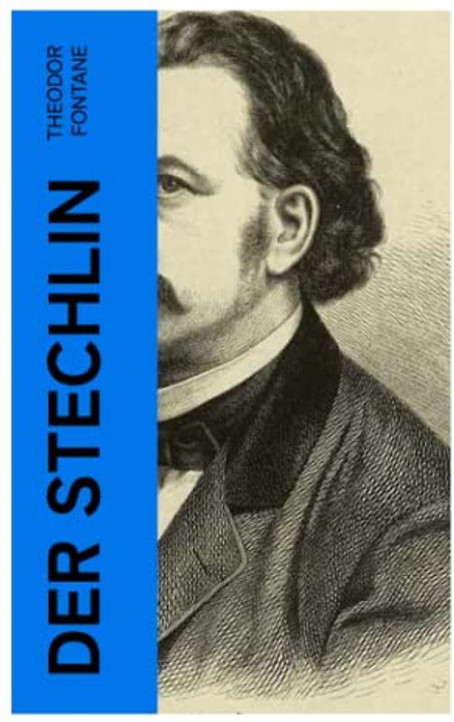 Der Stechlin: Gesellschaftsroman der Jahrhundertwende