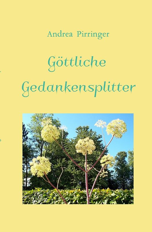 Göttliche Gedankensplitter