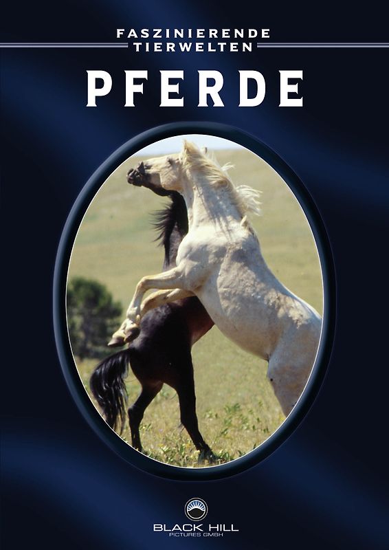 Pferde DVD