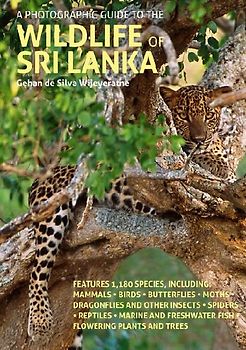 A Photographic Guide to the Wildlife of Sri Lanka