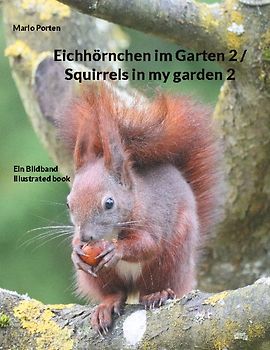 Eichhörnchen im Garten 2 / Squirrels in my garden 2