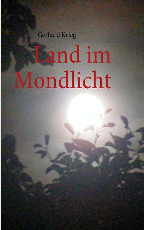 Land im Mondlicht