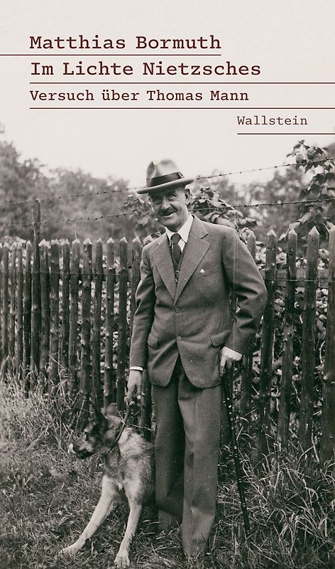 Im Lichte Nietzsches